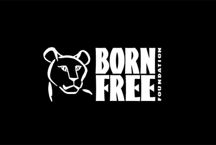 Born Free Foundation