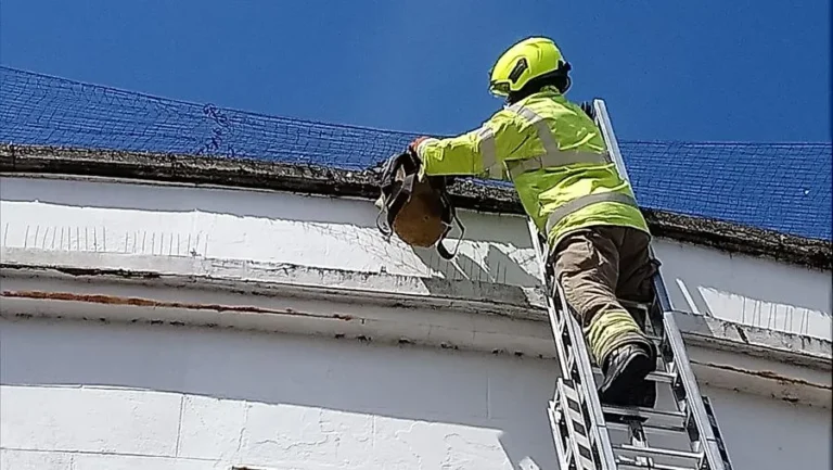 Fire brigade pigeon rescue West Sussex