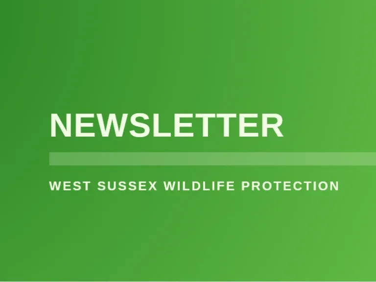 West Susses Wildlife Protection newsletter